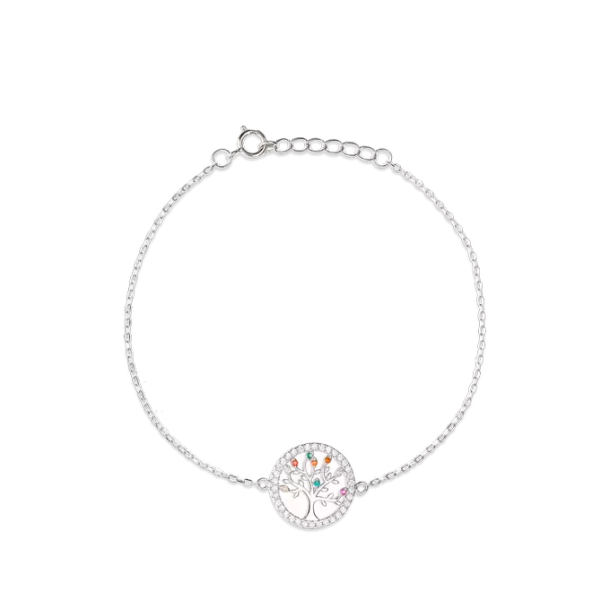 Pulsera plata primera ley